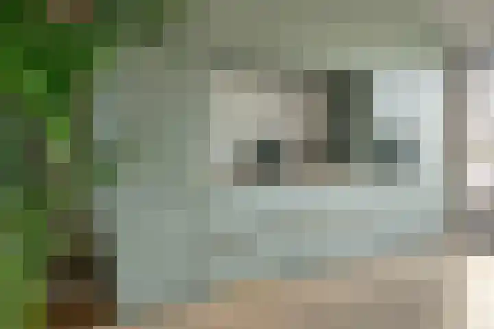 Voorstraat 17 Stavoren thumbnail 8