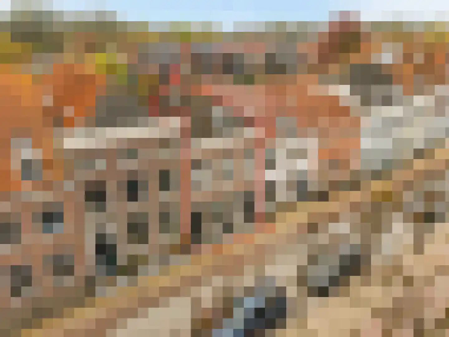 Voorstraat 17 Willemstad foto 3