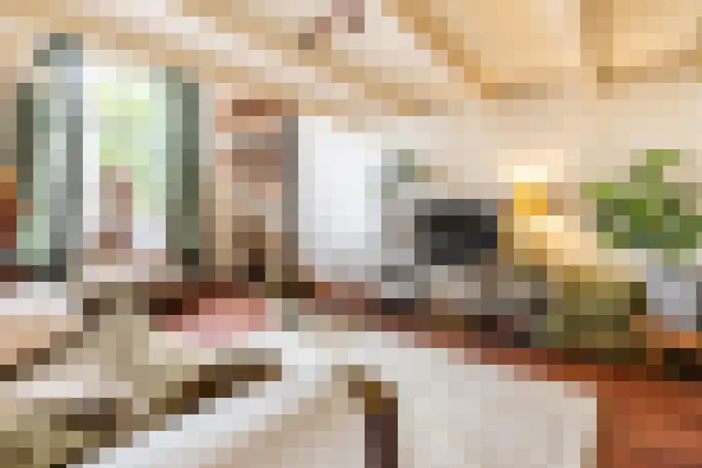 Voorstraat 178 Brielle thumbnail 36