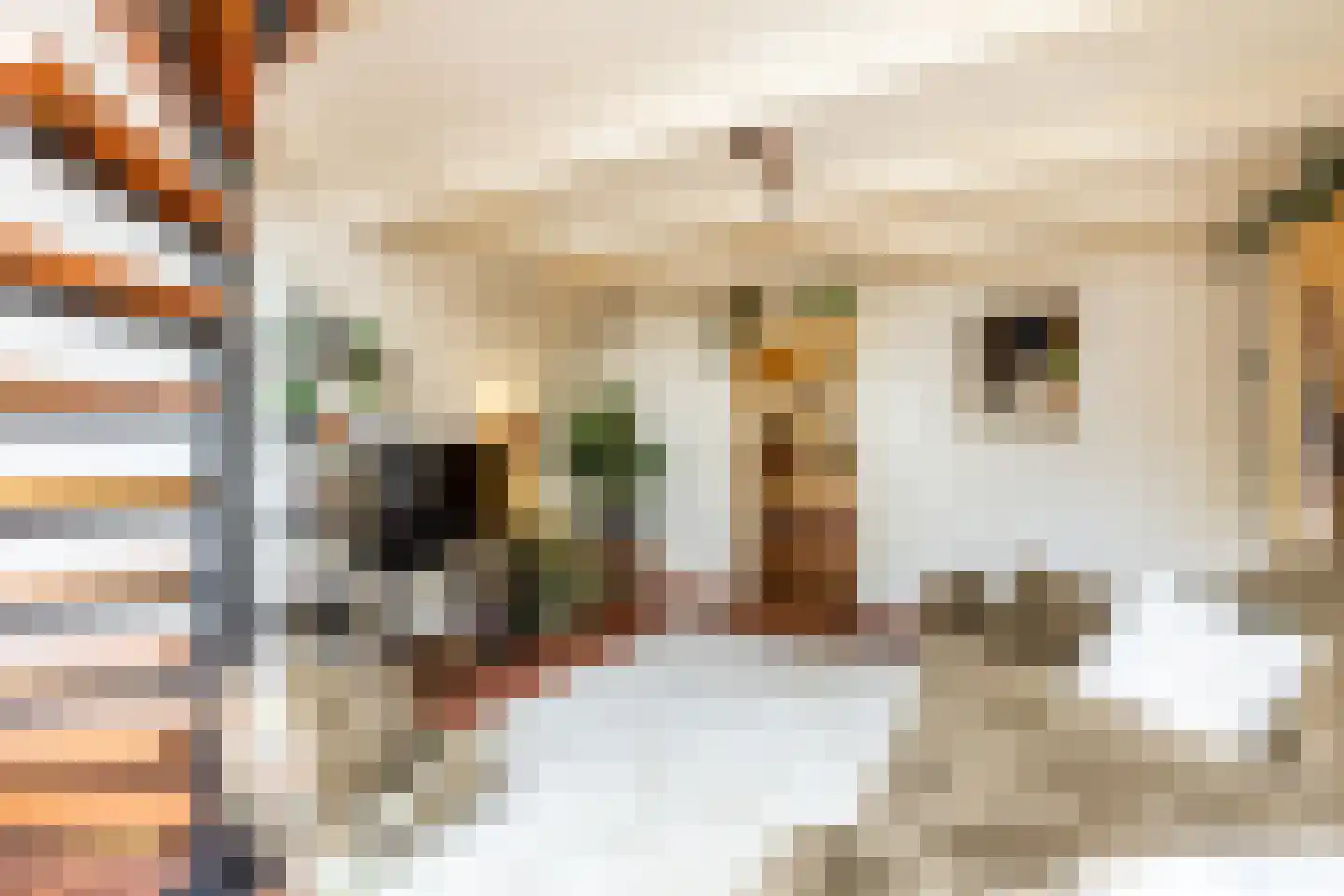 Voorstraat 178 Brielle thumbnail 38