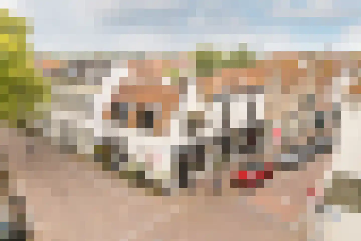 Voorstraat 178 Brielle thumbnail 53
