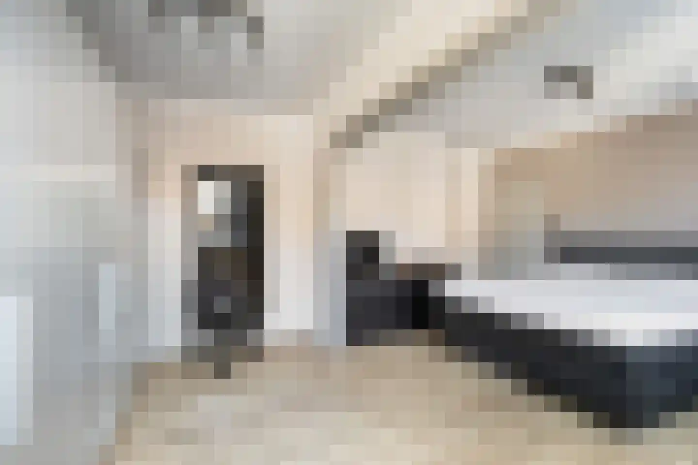 Voorstraat 18 Lekkerkerk thumbnail 15
