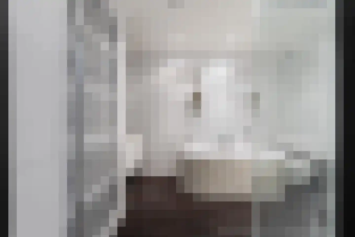 Voorstraat 18 Lekkerkerk thumbnail 16