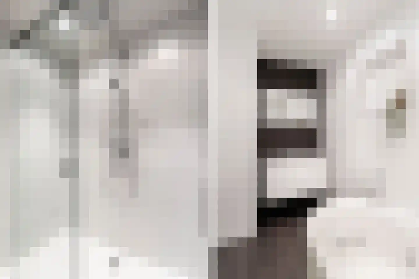Voorstraat 18 Lekkerkerk thumbnail 19