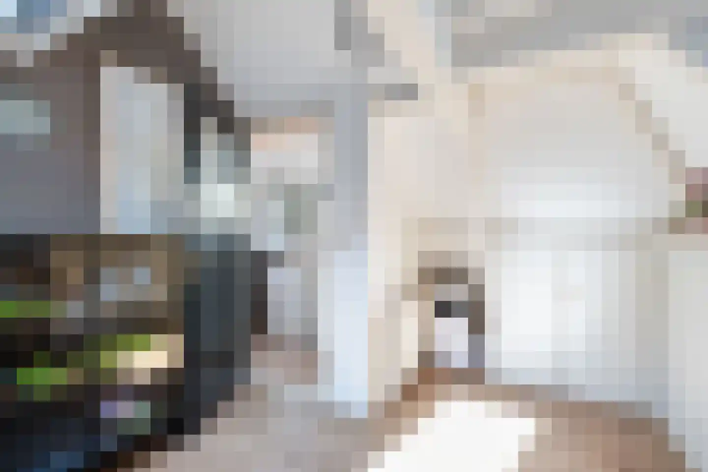 Voorstraat 18 Lekkerkerk thumbnail 22
