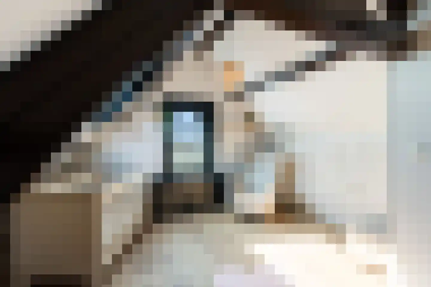 Voorstraat 18 Lekkerkerk thumbnail 24