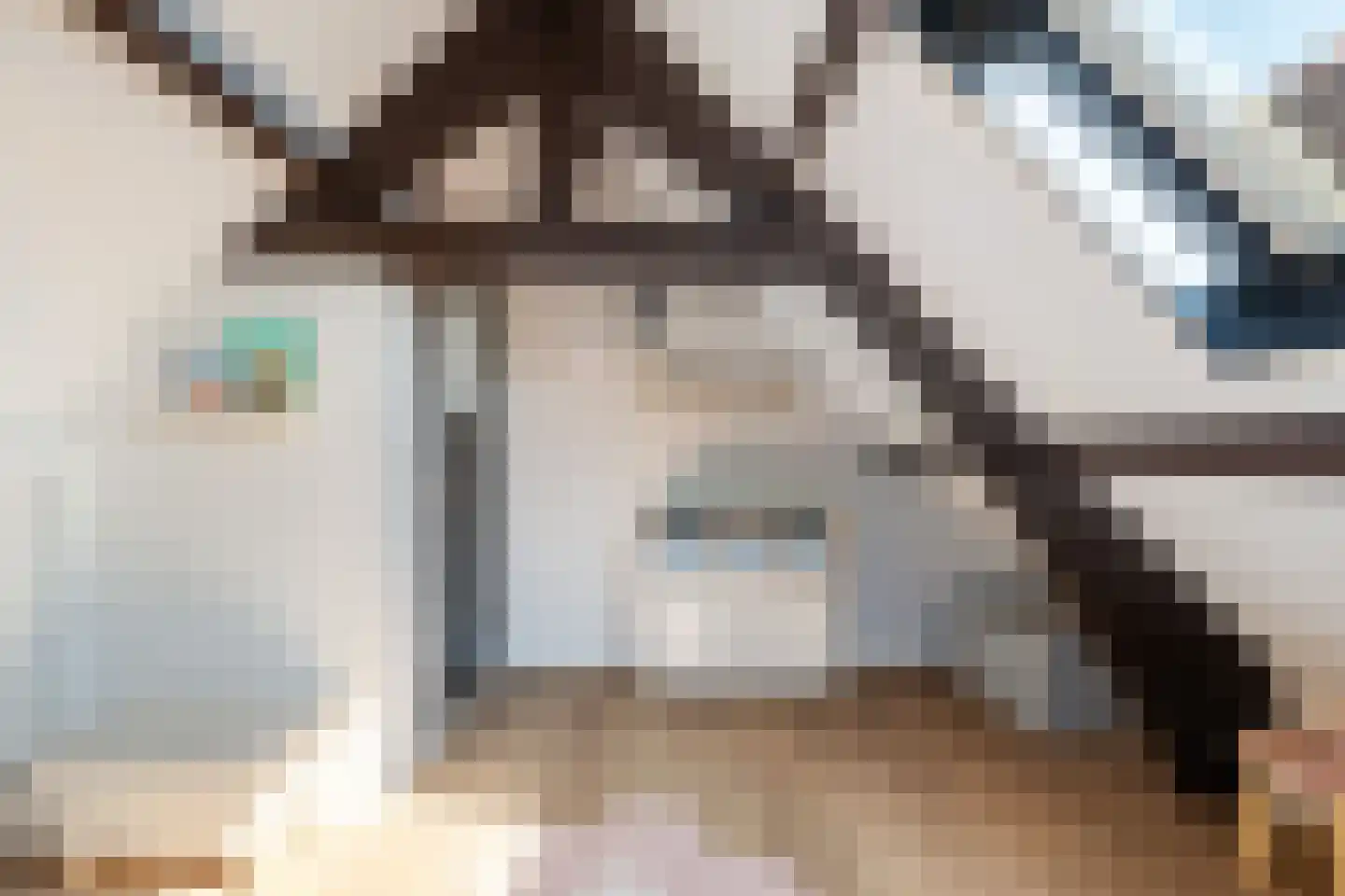 Voorstraat 18 Lekkerkerk thumbnail 25