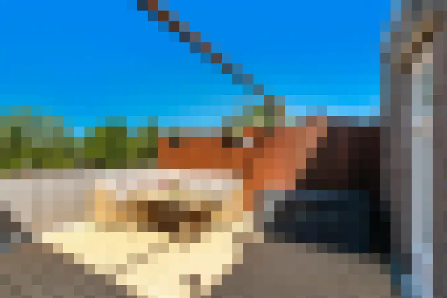 Voorstraat 18 Lekkerkerk thumbnail 27