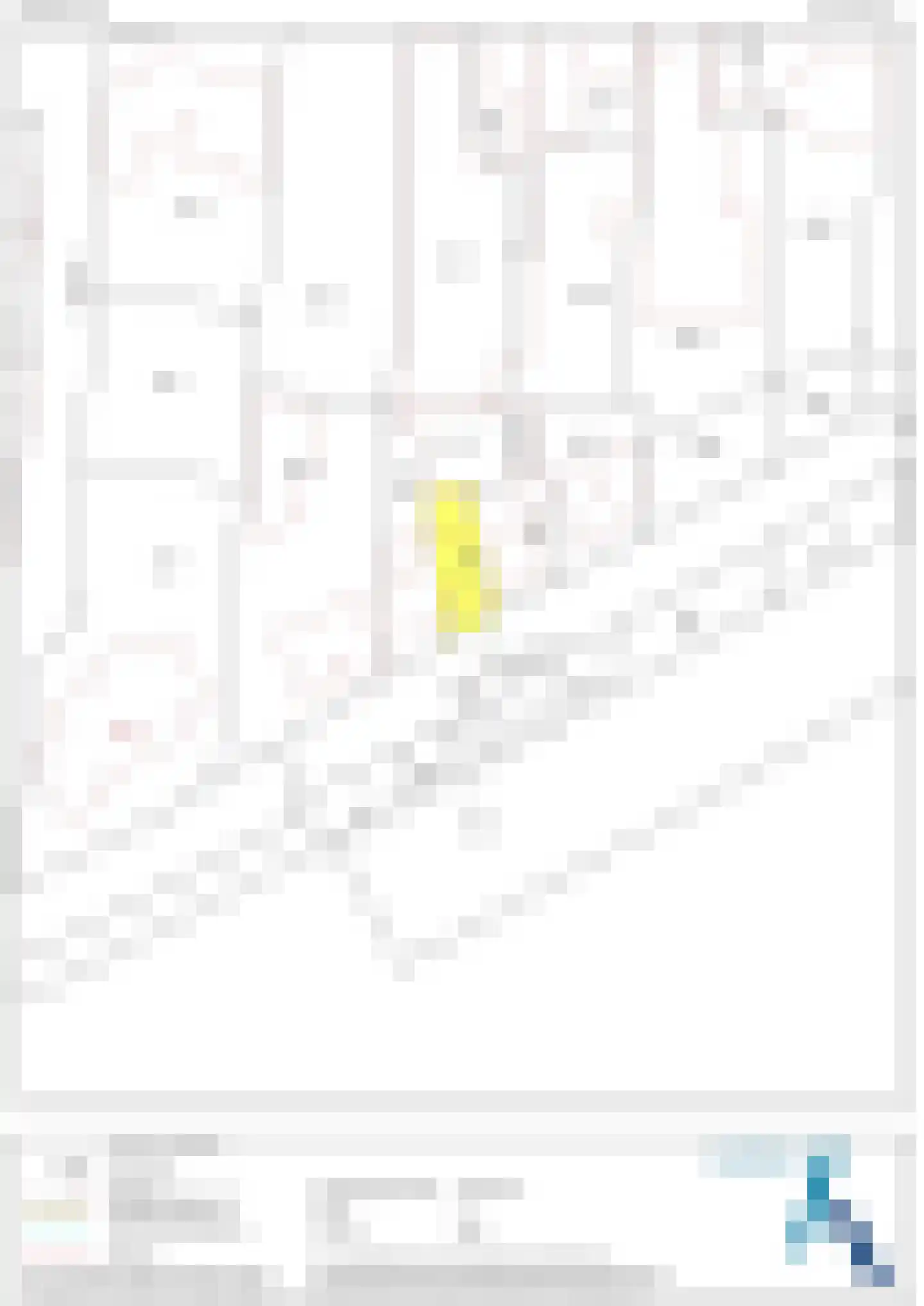 Voorstraat 18 Lekkerkerk thumbnail 33