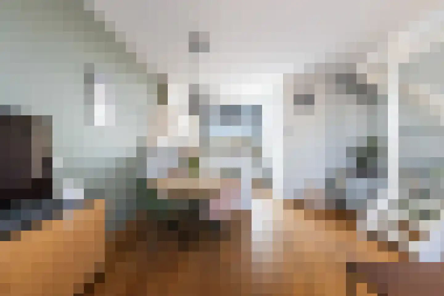 Voorstraat 18 Lekkerkerk thumbnail 4