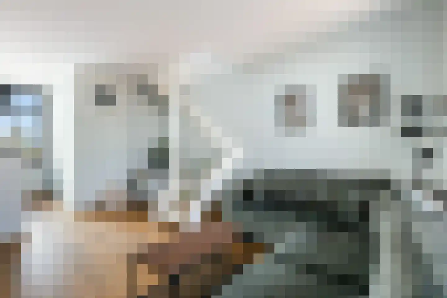 Voorstraat 18 Lekkerkerk thumbnail 6