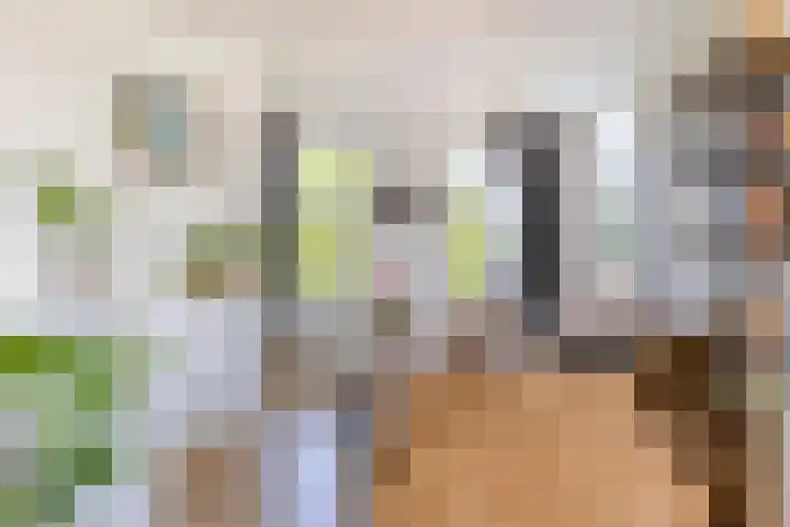 Voorstraat 180 Lekkerkerk thumbnail 10