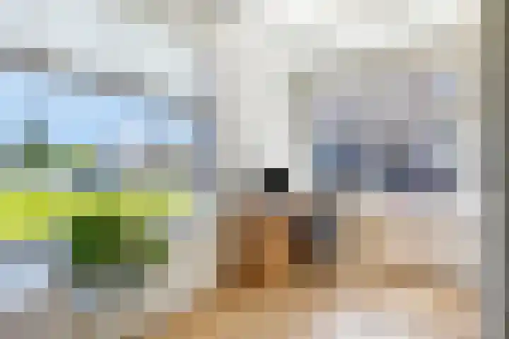 Voorstraat 180 Lekkerkerk thumbnail 11