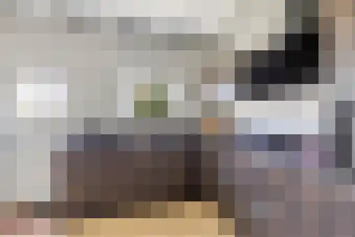 Voorstraat 180 Lekkerkerk thumbnail 13