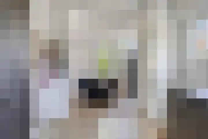 Voorstraat 180 Lekkerkerk thumbnail 14