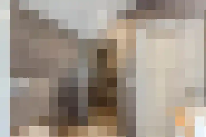 Voorstraat 180 Lekkerkerk thumbnail 23