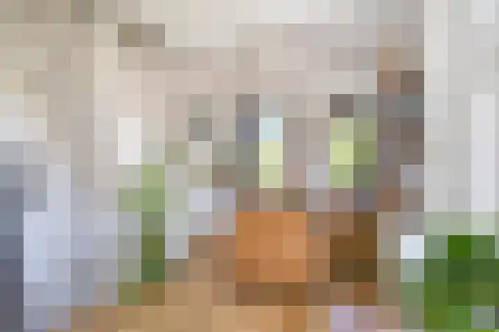 Voorstraat 180 Lekkerkerk thumbnail 9
