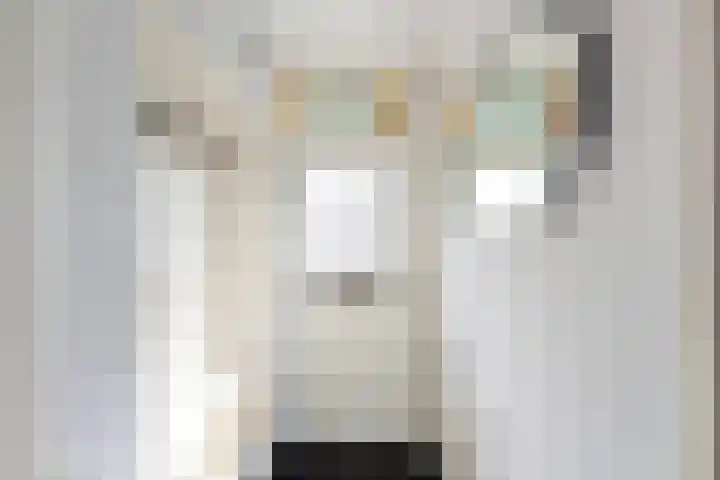 Voorstraat 182 Lekkerkerk thumbnail 11