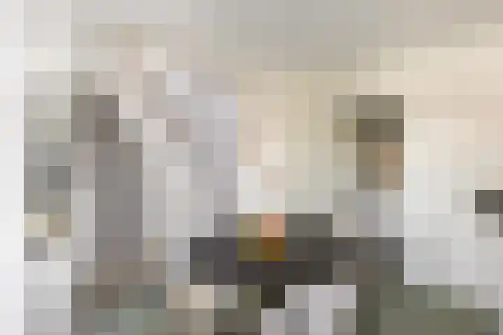 Voorstraat 182 Lekkerkerk thumbnail 22