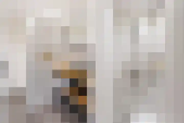 Voorstraat 182 Lekkerkerk thumbnail 23