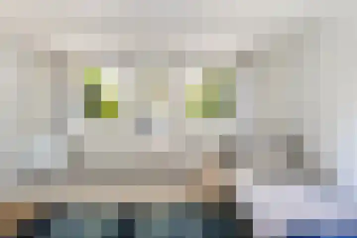 Voorstraat 182 Lekkerkerk thumbnail 27