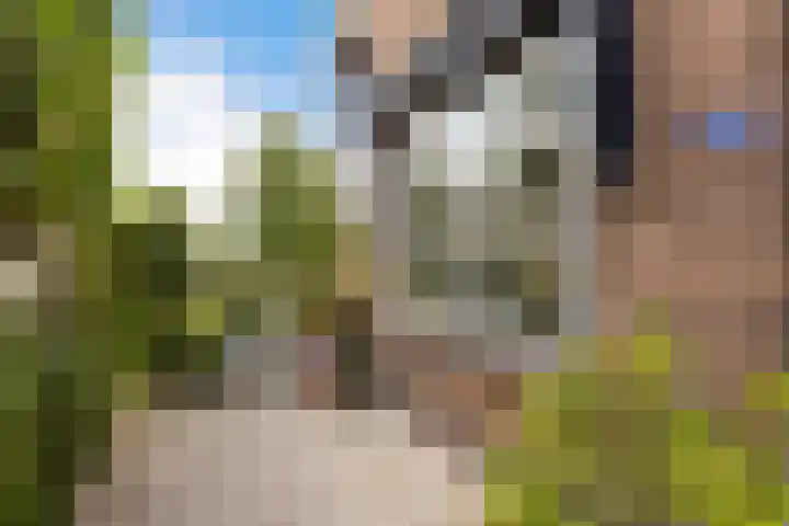 Voorstraat 182 Lekkerkerk thumbnail 31