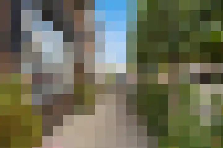 Voorstraat 182 Lekkerkerk thumbnail 33