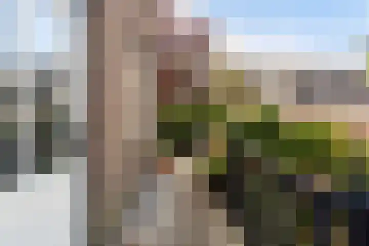 Voorstraat 182 Lekkerkerk thumbnail 34