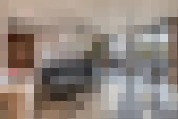 Voorstraat 19 a Lekkerkerk thumbnail 13