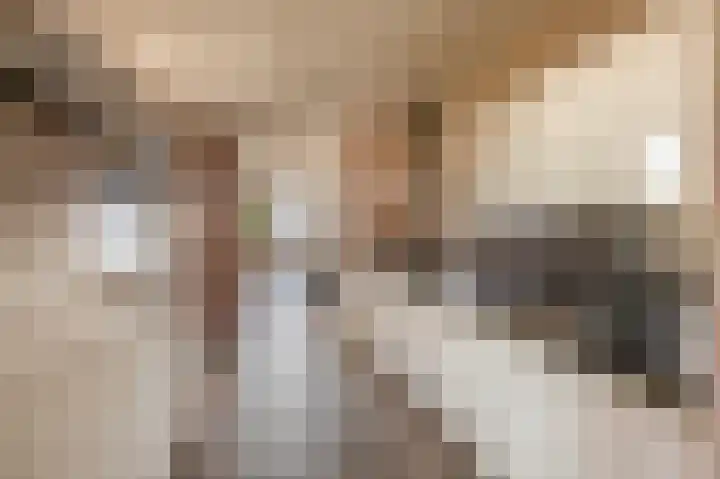 Voorstraat 19 a Lekkerkerk thumbnail 18
