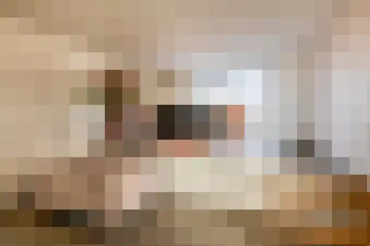 Voorstraat 19 a Lekkerkerk thumbnail 20
