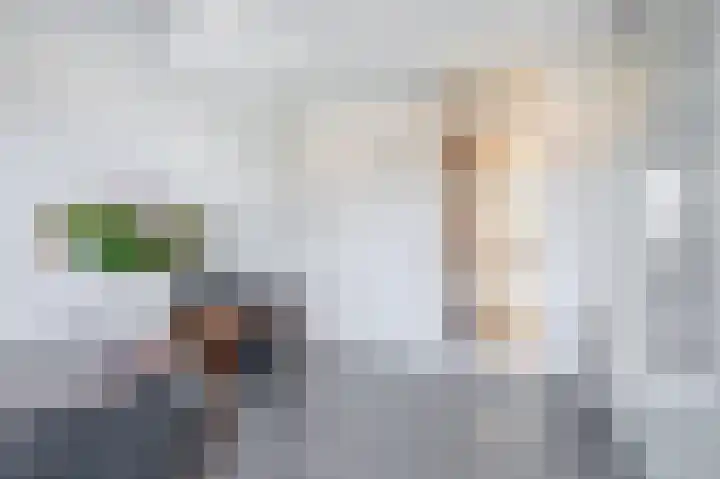 Voorstraat 19 a Lekkerkerk thumbnail 29