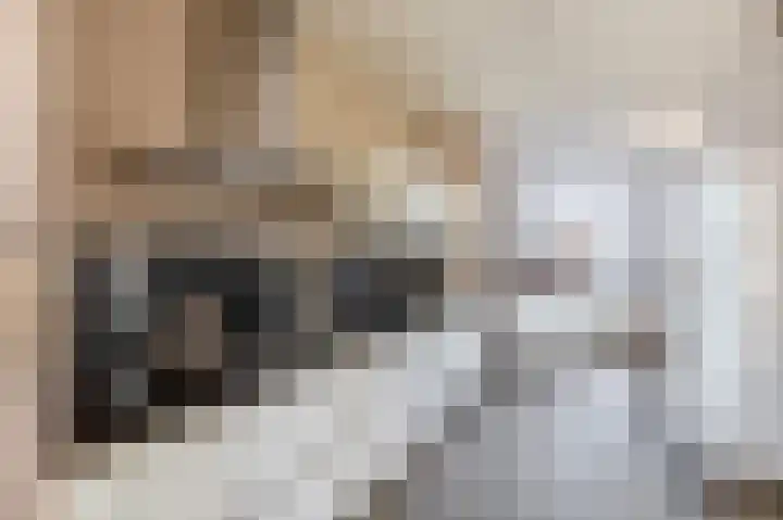 Voorstraat 19 a Lekkerkerk thumbnail 4