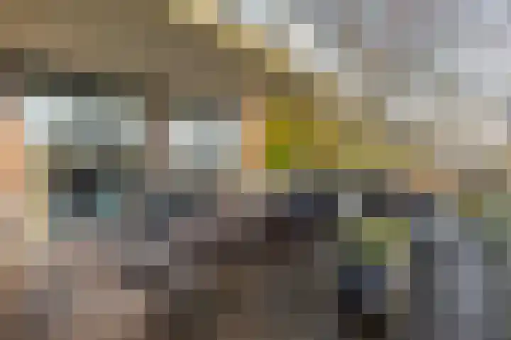 Voorstraat 19 a Lekkerkerk thumbnail 5