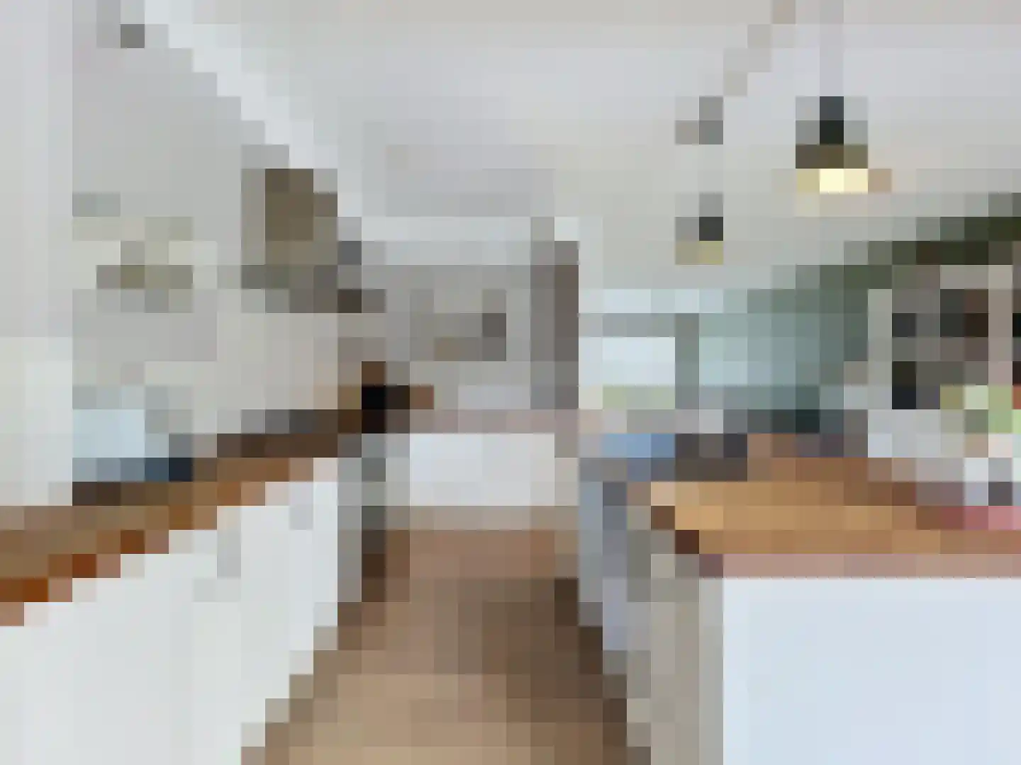 Voorstraat 19 Aardenburg thumbnail 12