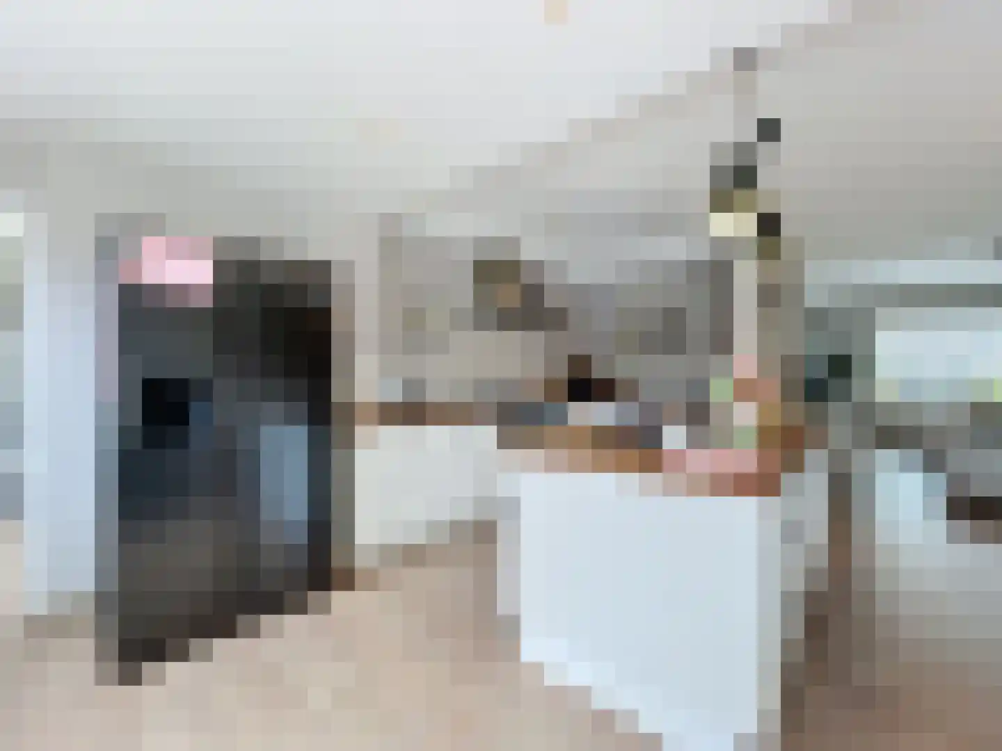 Voorstraat 19 Aardenburg thumbnail 13