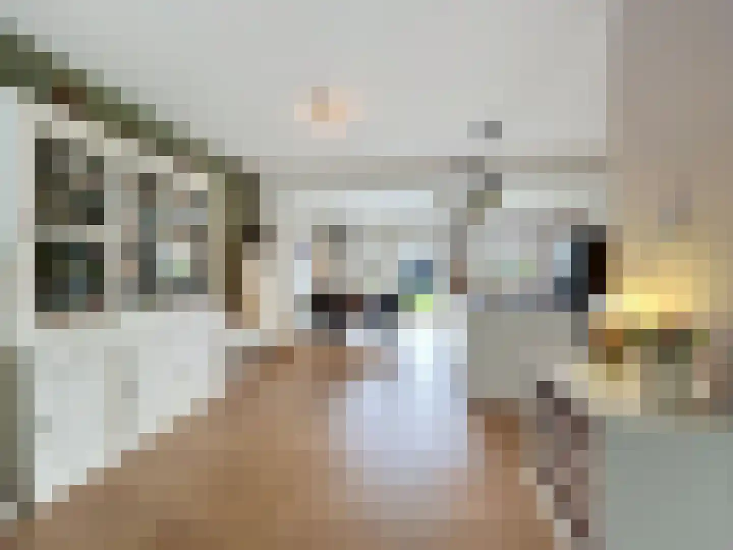 Voorstraat 19 Aardenburg thumbnail 8