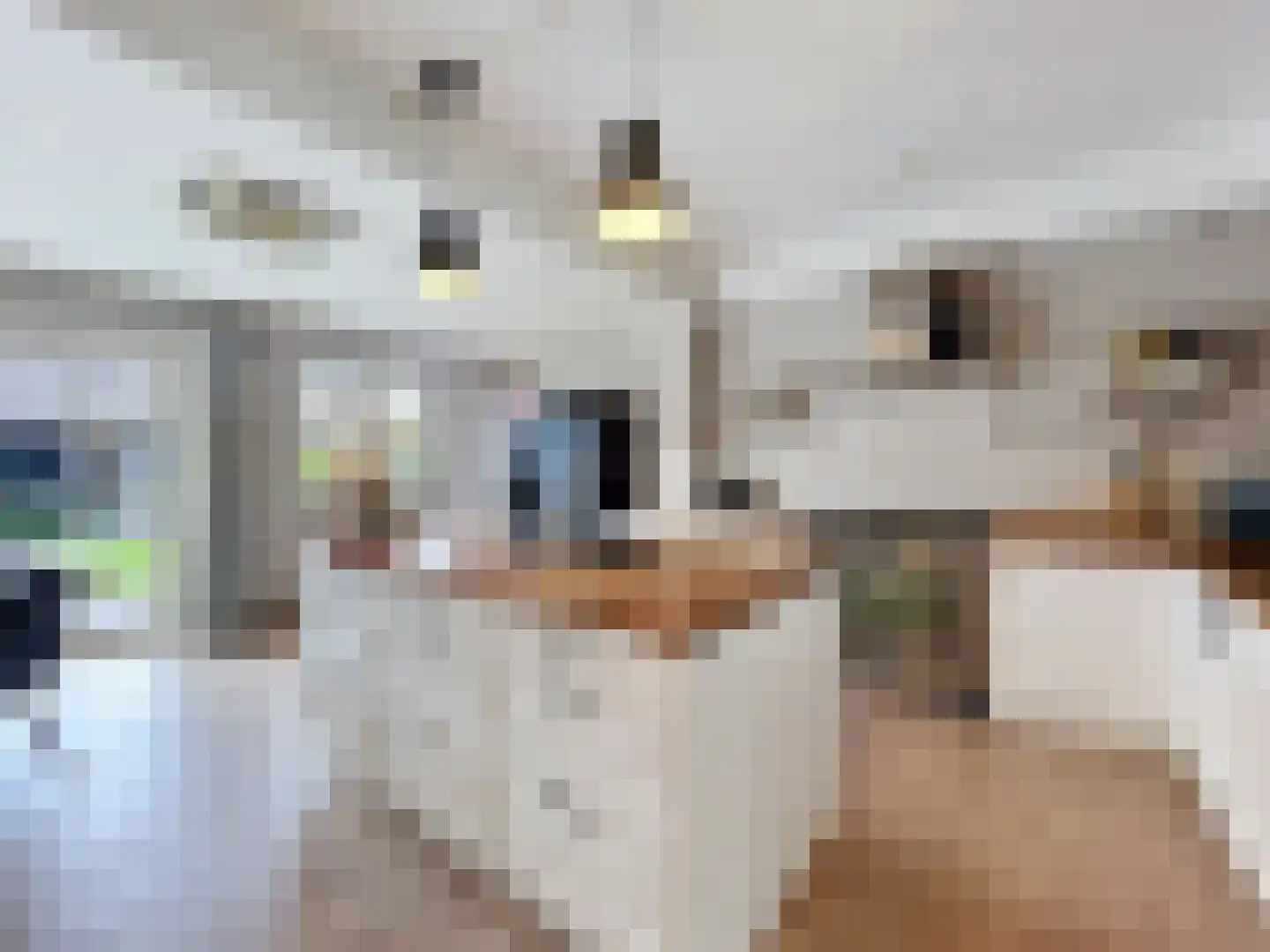 Voorstraat 19 Aardenburg thumbnail 9