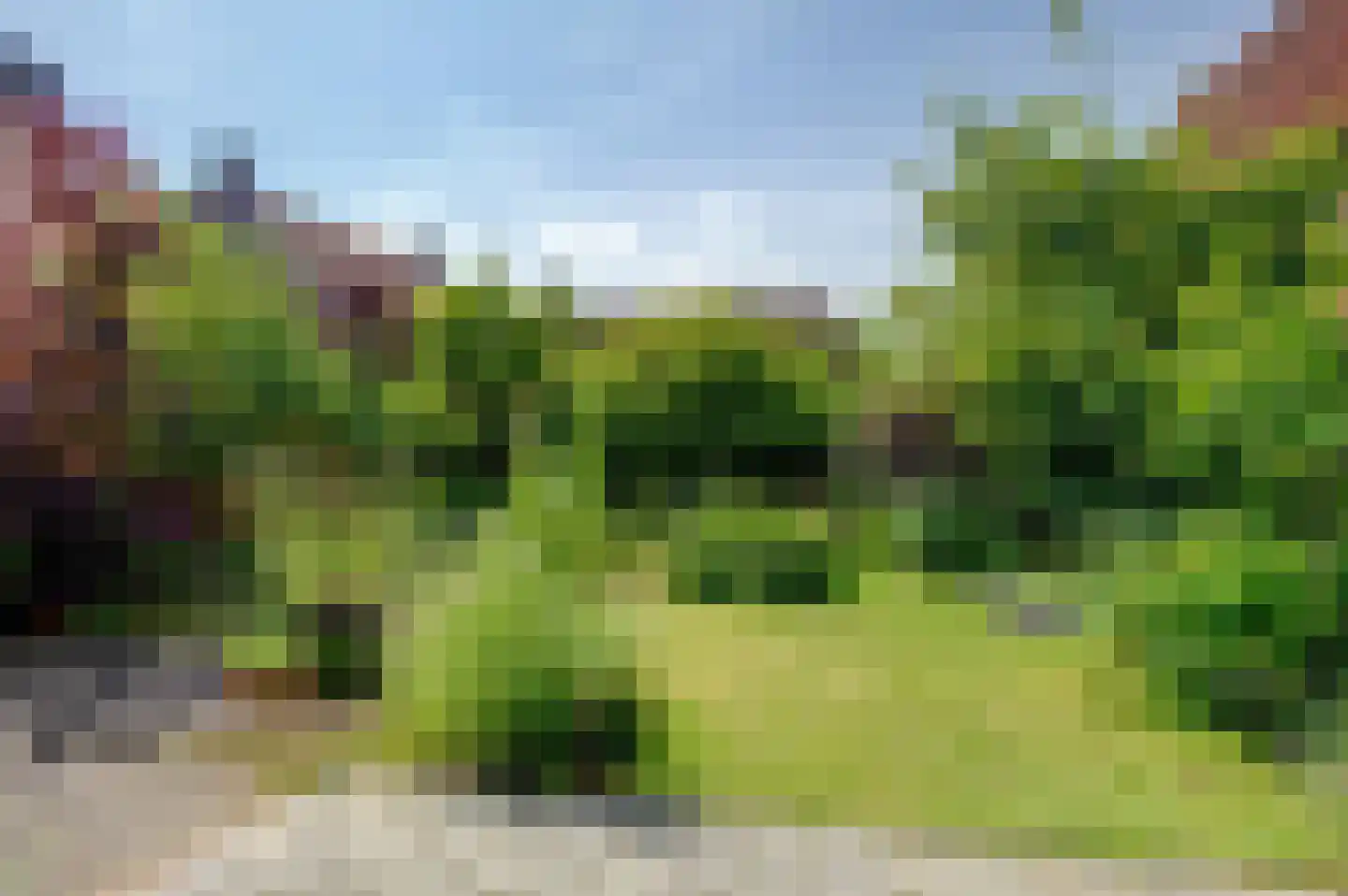 Voorstraat 19 Bad Nieuweschans thumbnail 12