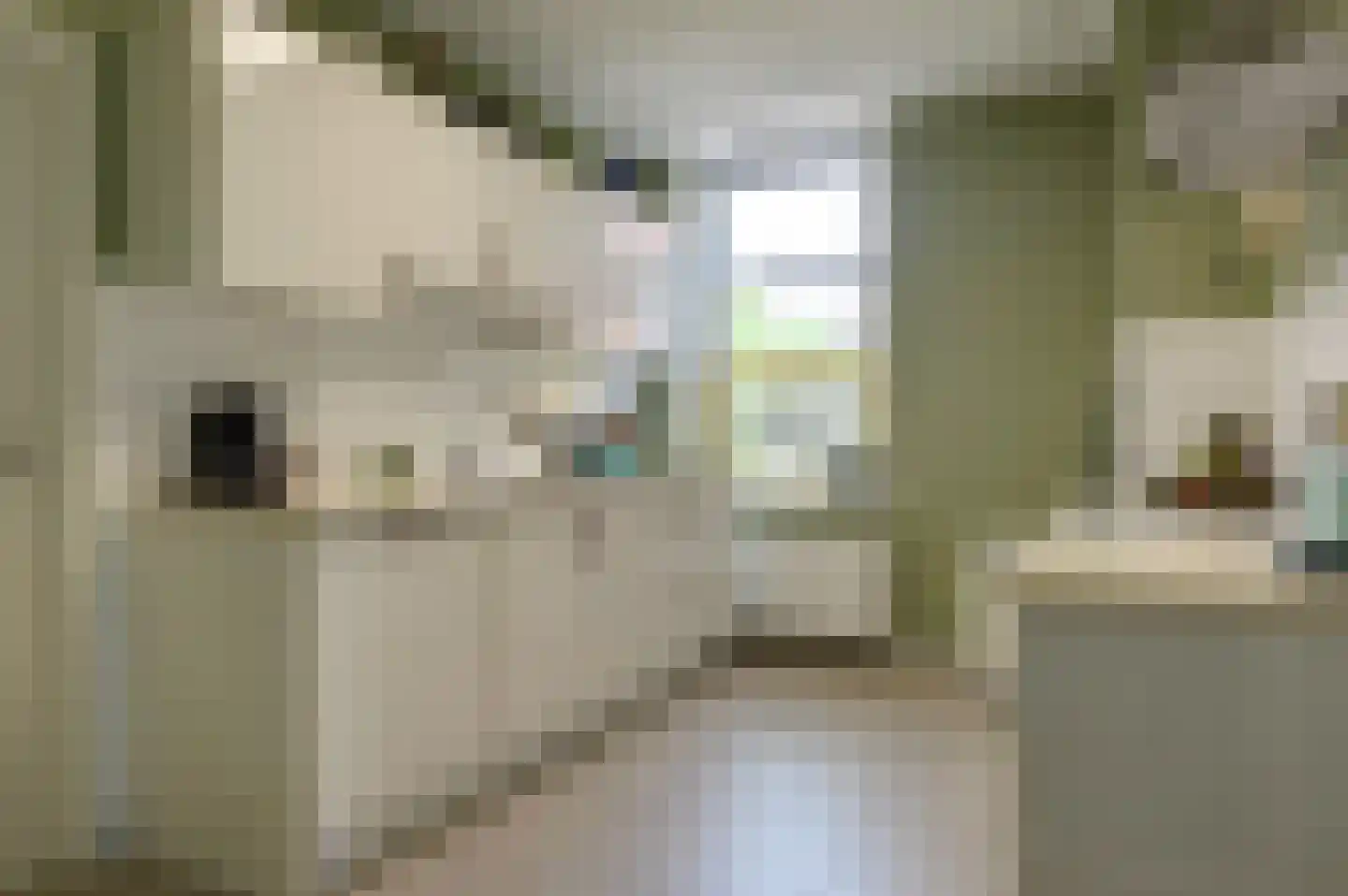 Voorstraat 19 Bad Nieuweschans thumbnail 28