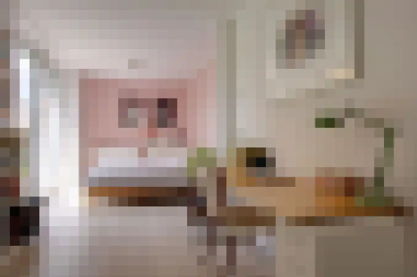 Voorstraat 19 Bad Nieuweschans thumbnail 30