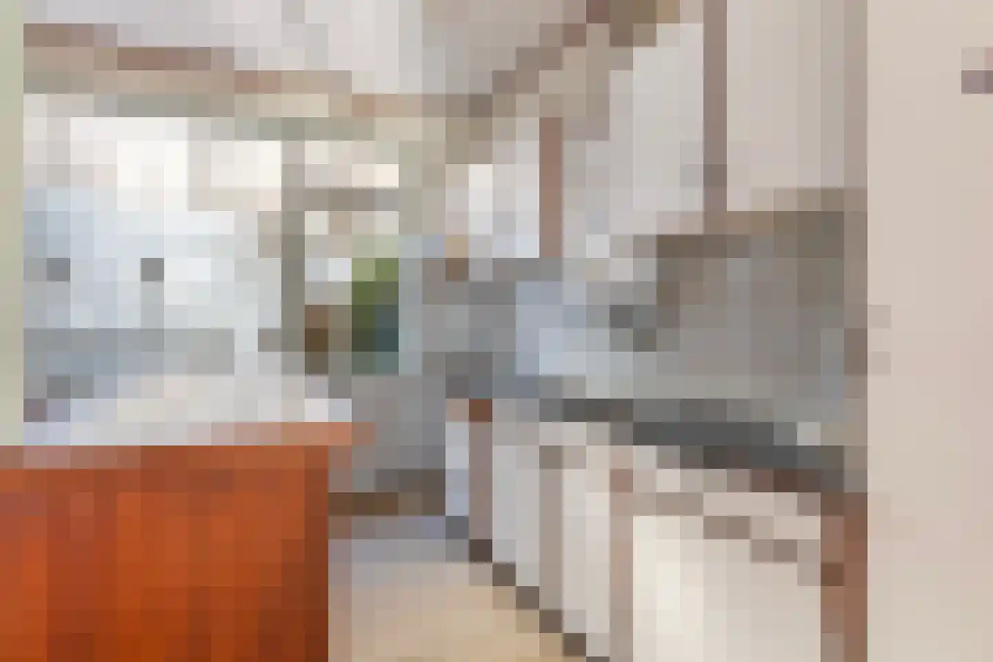 Voorstraat 2 Blije thumbnail 12