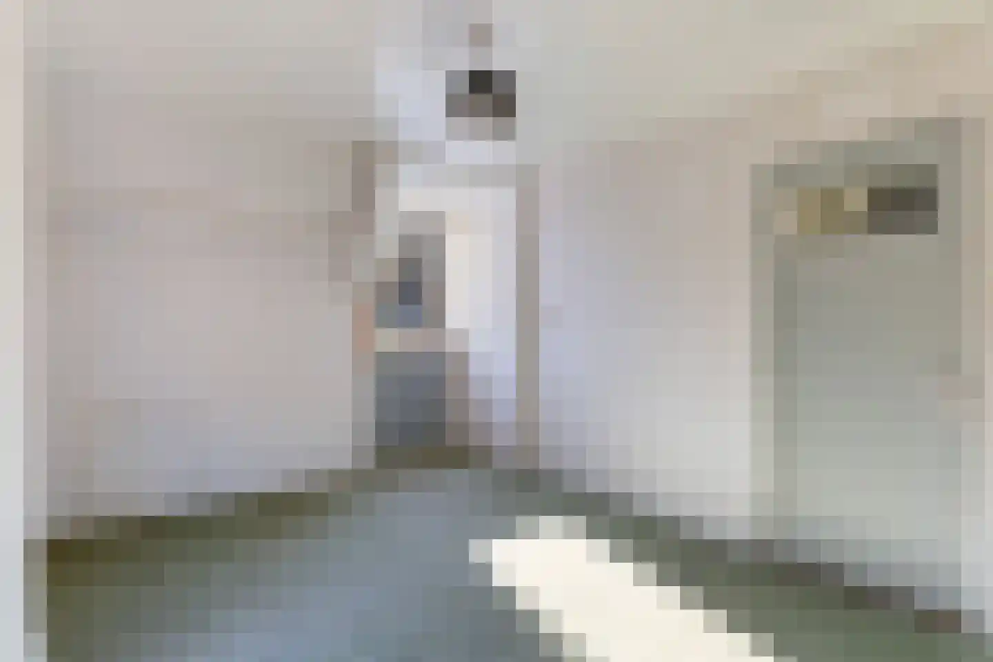 Voorstraat 2 Blije thumbnail 19