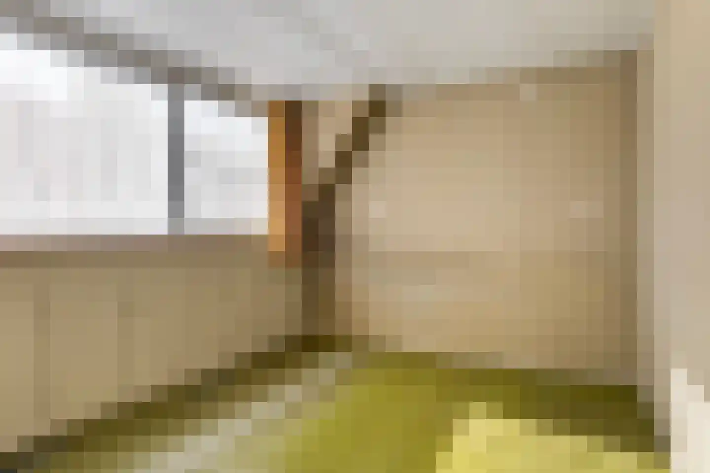 Voorstraat 2 Blije thumbnail 22