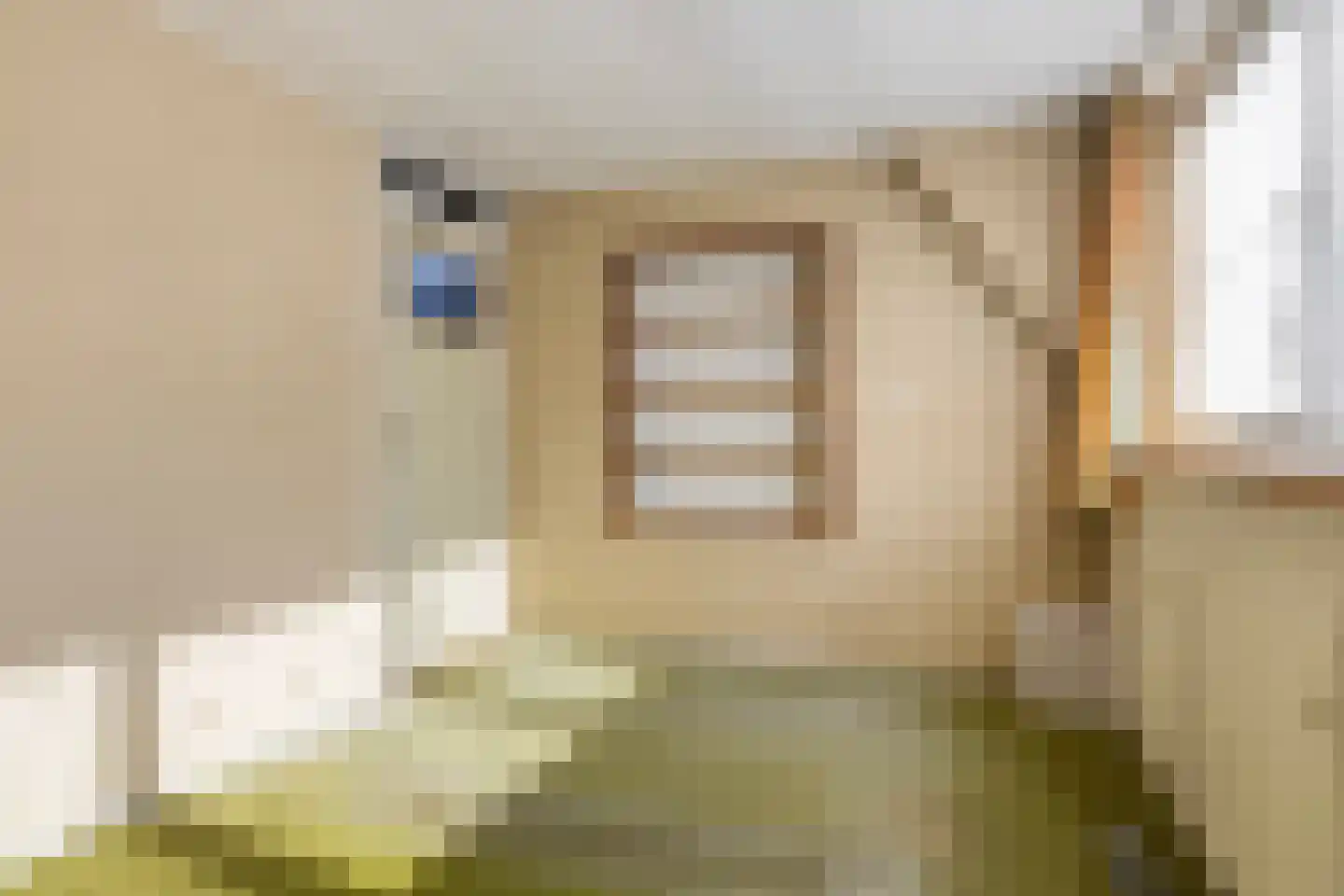 Voorstraat 2 Blije thumbnail 23