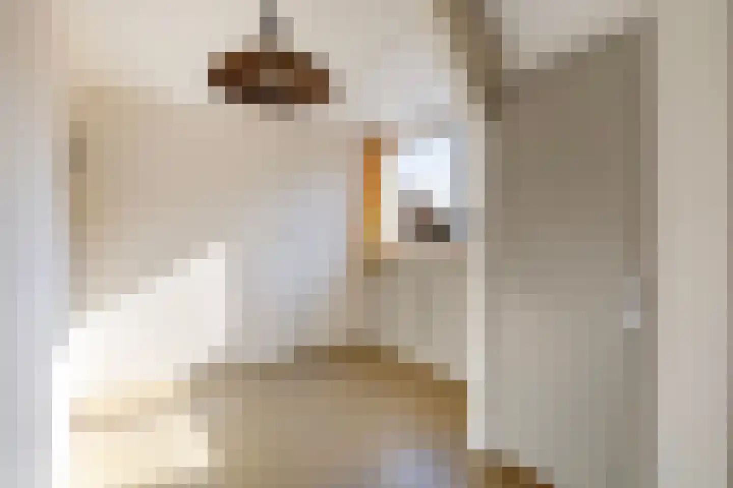 Voorstraat 2 Blije thumbnail 25