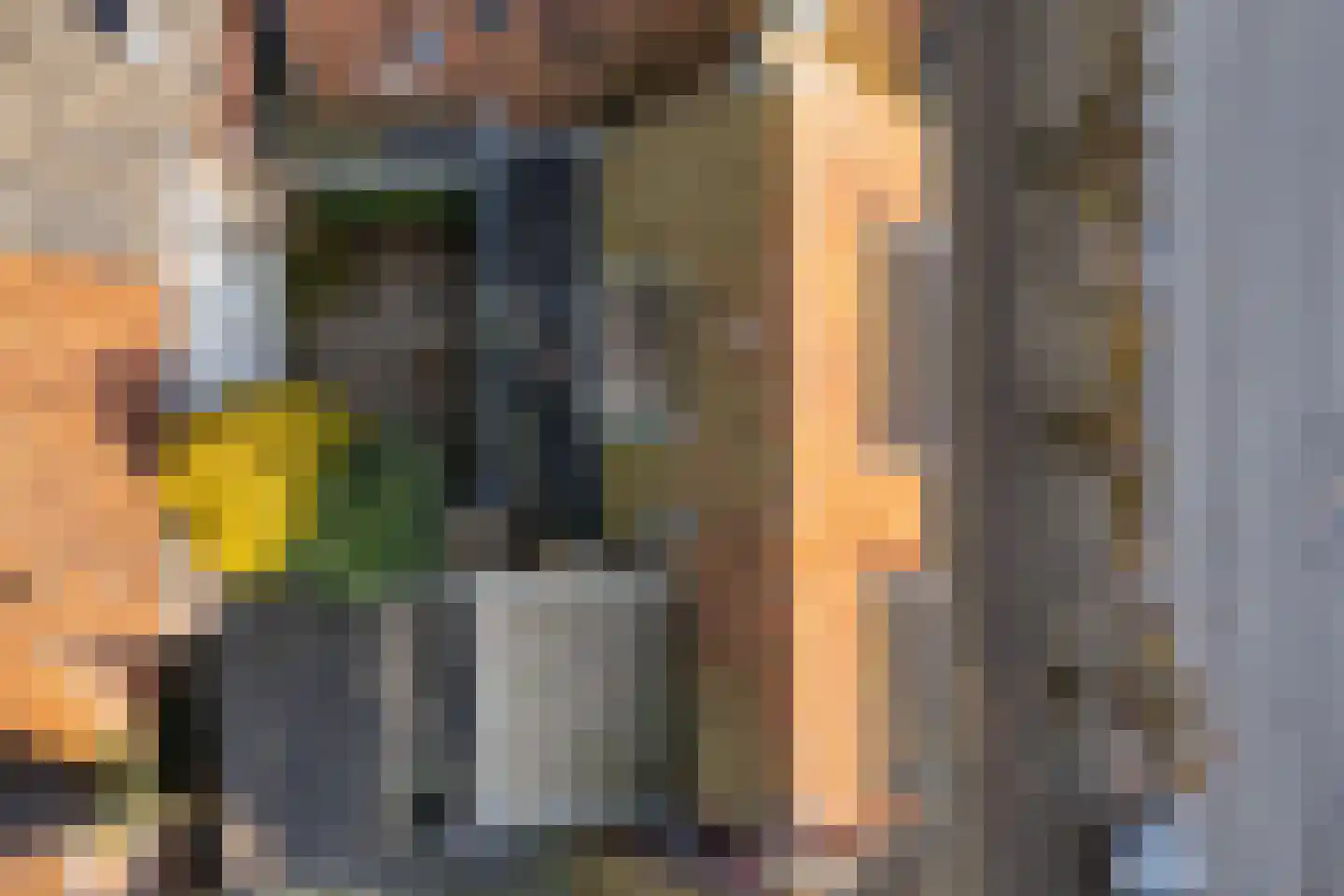 Voorstraat 2 Blije thumbnail 48