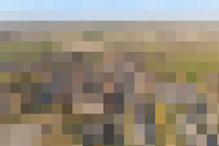 Voorstraat 2 Blije thumbnail 49