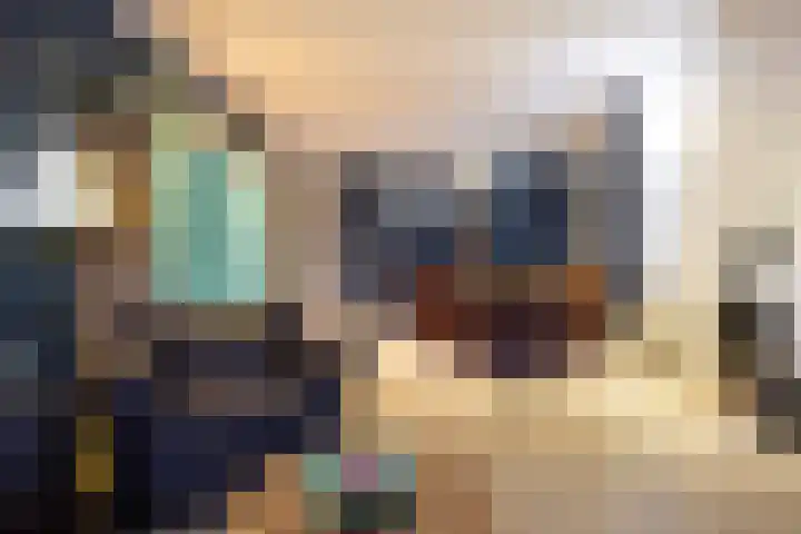 Voorstraat 2 Fijnaart thumbnail 10