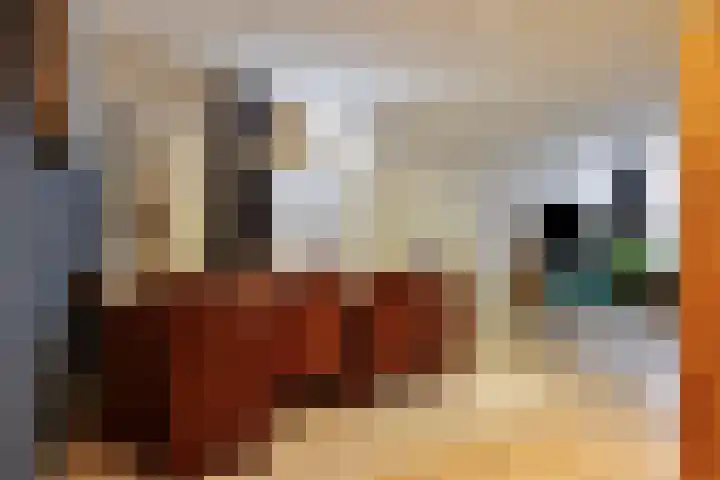 Voorstraat 2 Fijnaart thumbnail 11